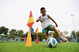 本赛季欧冠十六强分布：英超、西甲和德甲各3支球队，荷甲2支