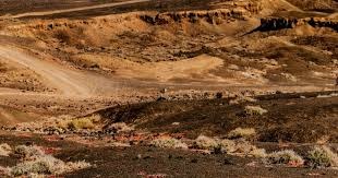 巴萨3比2皇马蝉联西超杯，维尼修斯追平C罗等纪录