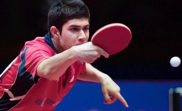 的努力不仅 的努力不仅